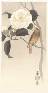 Songbird and flowering camellia