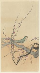 Songbird and plum blossom