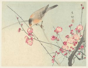 Songbird on blossom branch