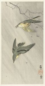 Songbirds in rain