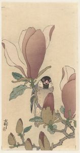 Sparrow on blooming magnolia branch