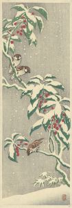 Sparrows on snowy currant bush