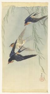 Three birds in full flight