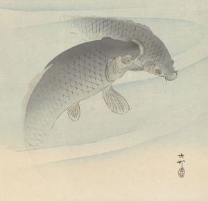 Two carps