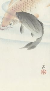 Two Carps