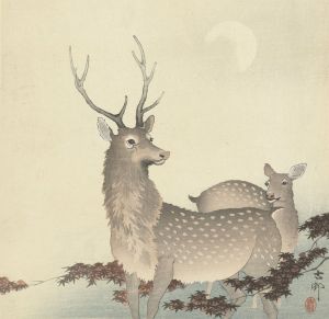 Two Deer