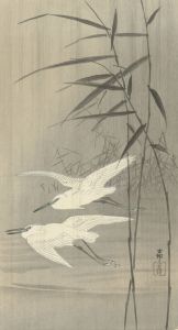 Two egrets in flight