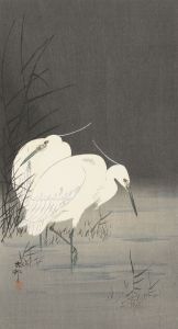 Two egrets in the reeds