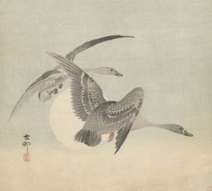 Two geese in flight