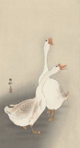 Two geese.