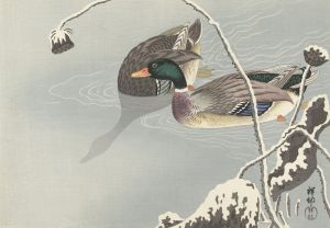 Two Mallards near a Snow-Covered Lotus,