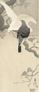 Two pigeons on a branch