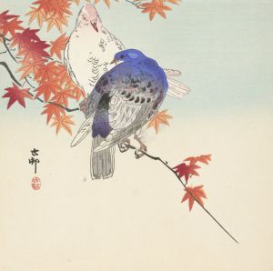 Two pigeons on autumnal branch