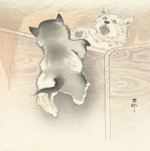 Two playing dogs