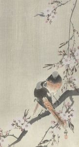 Two siegeled redtails with cherry blossom