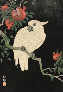 Cockatoo And Pomegranate