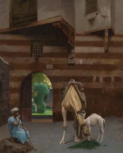 The Camel Driver