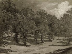 Paysage – orée d’un bois