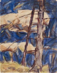 Bare Conifers