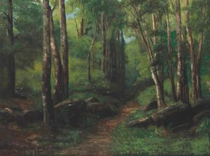 Path Through The Forest