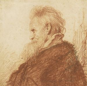 Head of an Old Man