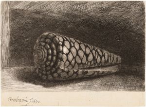 The Shell