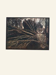 Or a screech owl