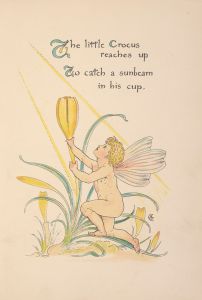 Flora’s feast; A masque of flowers Pl.05