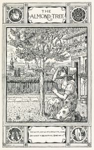 The Almond Tree