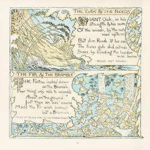 The Oak and the Reeds, The Fir and the Bramble