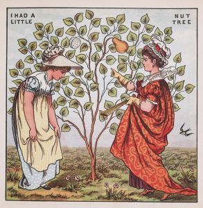 I had a little nut tree