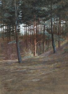 A Bit in Hardelot Forest