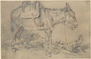 Saddled Donkey