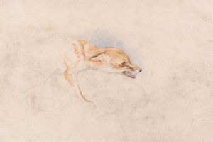 Study of a Crouching Fox, Facing Right