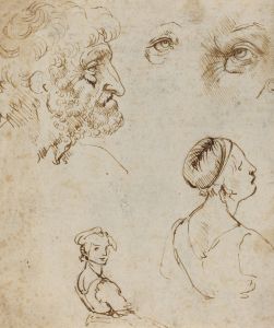 Sheet of Studies