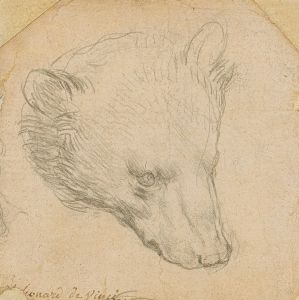 Head of a bear