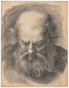 Study of the Head of a Bearded Man