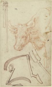 Studienblatt; Landwirtschaftliche Geräte und ein Stierkopf