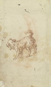 Study sheet; two dogs