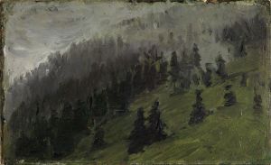 Nebel zwischen Tannen