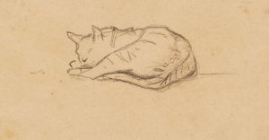 Kleine Katzenstudie