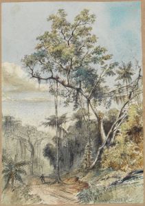 Farbige Baumstudie im Urwald an einem Weg