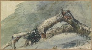 Geborstener Ast