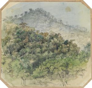 Urwaldansicht in den Bergen