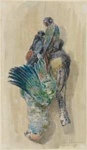 Studie erlegter Papageien und anderer Vögel