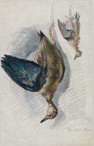 Zwei Studien eines Vogels
