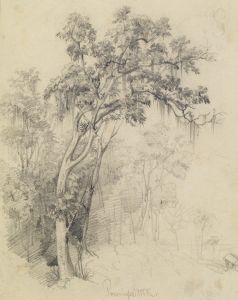 Im Urwald- Baumstudie