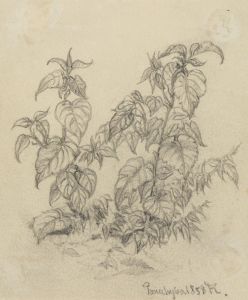 Pflanzenstudie VIII