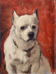 Le chien ‘chinois’